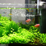 TARARIUM Quiet Internal Fish Tank Filter W/120GPH Underwater Aquarium Filters with Activated Carbon for 2-20 Gal Tank